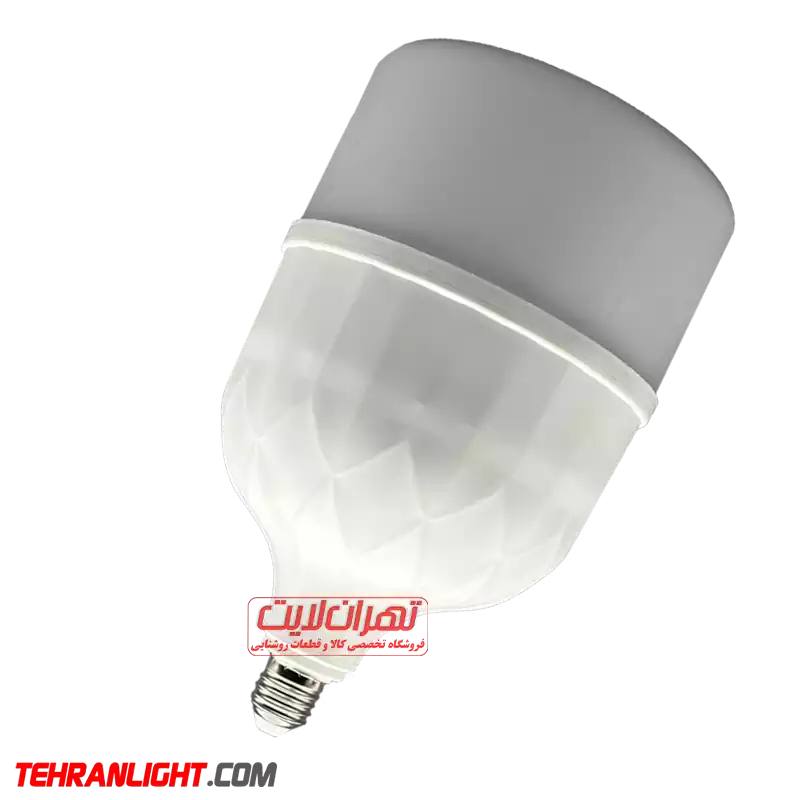 1 لامپ 100 وات 220 ولت مهتابی