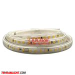 ریسه نورمخفی افتابی